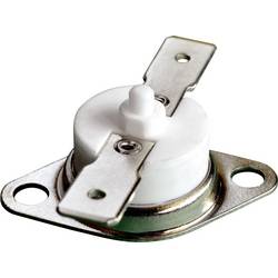 Thermorex TK32-T01-MG01-Ö140- MR bimetalový spínač 250 V 16 A Teplota pro otevření (± 5°C) 140 °C 1 ks