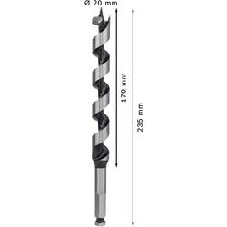 Bosch Accessories 2608597632 hadovitý vrták 20 mm Celková délka 235 mm šestihran 1 ks