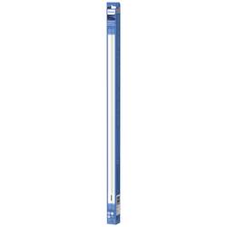Philips LED LED trubice Energetická třída (EEK2021): E (A - G) G13 zářivkový tvar T8 8 W studená bílá (Ø x d) 28 mm x 604 mm 1 ks