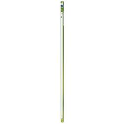 Philips LED LED trubice Energetická třída (EEK2021): B (A - G) G13 zářivkový tvar T8 20 W neutrální bílá (Ø x d) 28 mm x 1514 mm 1 ks