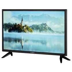Reflexion LED2425 LCD TV, 60 cm 24 palec, E (A - G), DVB-T2, DVB-C, DVB-S2, Full HD, CI+, černá