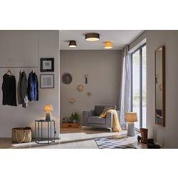 Paulmann 70951 Mari stropní svítidlo LED E27 40 W modrá