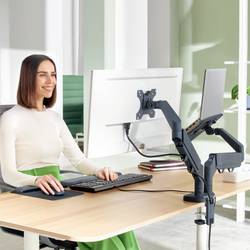 Leitz Monitor+Laptoparm Ergo rameno na monitory 1 Displej: (s) 81,3 cm (32) tmavě šedá nastavitelná výška, otočný, naklápěcí, nakláněcí