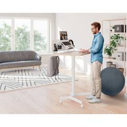 Leitz Monitor+Laptoparm Ergo rameno na monitory 1 Displej: (s) 81,3 cm (32) tmavě šedá nastavitelná výška, otočný, naklápěcí, nakláněcí