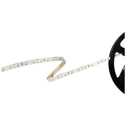 Barthelme Basic 60 51541134 LED pásek volný konec 12 V 5 m studená bílá Piece 1 ks