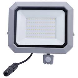 AS Schwabe Slimline Pro 46420 venkovní LED reflektor s PIR detektorem Energetická třída (EEK2021): E (A - G) LED 50 W šedá