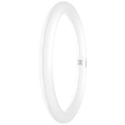 OSRAM HOMELIGHTING LED trubice Energetická třída (EEK2021): E (A - G) G10q kruhová zářivka KVG 18.3 W = 32 W studená bílá (Ø x d) 300 mm x 300 mm 1 ks