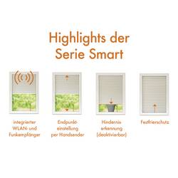 Kaiser Nienhaus Primus Smart 140015 bezdrátový trubkový motor 60 mm 113 W 10 Nm