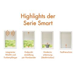 Kaiser Nienhaus Favorit Smart 140025 bezdrátový trubkový motor 60 mm 161 W 20 Nm