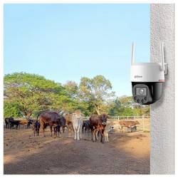 Dahua Technology Picco F1 4G 4MP DH-SD-P4FP-PV-4G-0400B-PRO-EUR Wi-Fi, kabelový IP bezpečnostní kamera