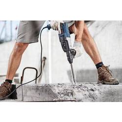 Bosch Accessories 2609390394 LongLife plochý sekáč 20 mm Celková délka 250 mm SDS plus 1 ks
