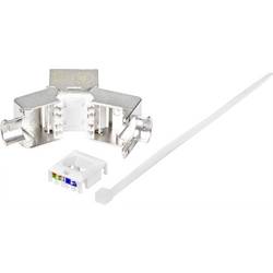 Renkforce RJ45 vestavný modul Keystone CAT 6A 1 ks