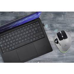 Renkforce RF-WLEM-500 optická Trackball, přenos bezdrátový, bezdrátový, Bluetooth®, 7 tlačítko, 400 dpi, 800 dpi, 1600 dpi, 2400 dpi, 4800 dpi, šedá, černá