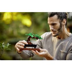 10281 LEGO® Botanicals™ Bonsai strom