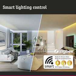 Paulmann 50046 MaxLED Spínací ovladač 6000 mA 24 (max.) 24 V plast (d x š x v) 95 x 38 x 28 mm 1 ks