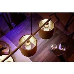 Philips Hue LED žárovka (sada 2 ks) 871951435677100 Energetická třída (EEK2021): G (A - G) Hue White Luster Doppelpack 2x470lm E14 11.4 W teplá bílá