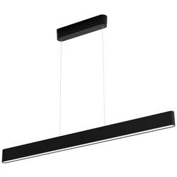 Philips Hue LED závěsná lampa 871951434336800 Hue White & Col. Amb. Ensis pevně vestavěné LED 79 W