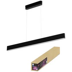 Philips Hue LED závěsná lampa 871951434336800 Hue White & Col. Amb. Ensis pevně vestavěné LED 79 W