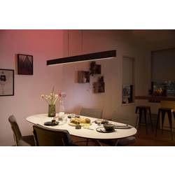 Philips Hue LED závěsná lampa 871951434336800 Hue White & Col. Amb. Ensis pevně vestavěné LED 79 W