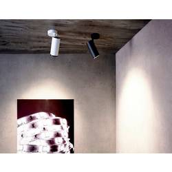 Deko Light 348226 Lucea Stropní svítidlo LED 10.0 W černá