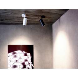 Deko Light 348225 Lucea Stropní svítidlo LED 10.0 W bílá