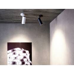 Deko Light 348225 Lucea Stropní svítidlo LED 10.0 W bílá