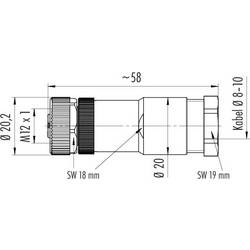 binder 99 0630 19 04 99 0630 19 04-20 kulatý konektor DIN, 1 ks