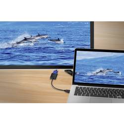 Renkforce HDMI / VGA kabelový adaptér Zástrčka HDMI-A, VGA pólové zásuvka 0.15 m černá RF-4531578 dvoužilový stíněný HDMI kabel