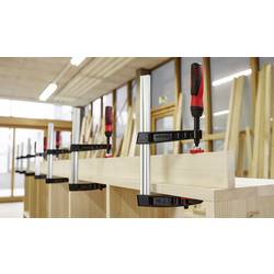 Bessey TG30S12-2K šroubová svěrka Rozpětí (max.):300 mm Délka vyložení:120 mm