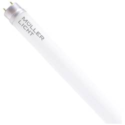 Müller-Licht LED trubice Energetická třída (EEK2021): C (A - G) G13 zářivkový tvar T8 15.6 W neutrální bílá (Ø x d) 28 mm x 1200 mm 1 ks