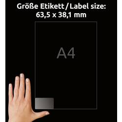 Avery-Zweckform L7560-25 Adresní nálepky 63.5 x 38.1 mm poylesterová fólie transparentní 525 ks trvalé inkoustová tiskárna, laserová tiskárna, barevná laserová