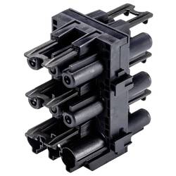 Bachmann 375.541 rozdělovač černá