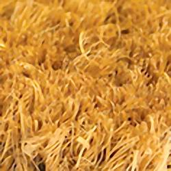COBA Europe CM050009 Coir rohož pro zachycení nečistot (d x š x v) 100 cm x 50 cm x 23 mm světle hnědá