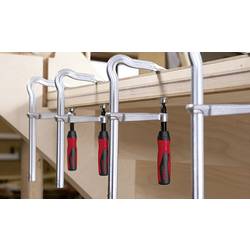 Bessey 3101187