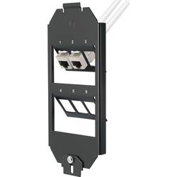 Renkforce RJ45 vestavný modul 6 portů nevybavený specifikací