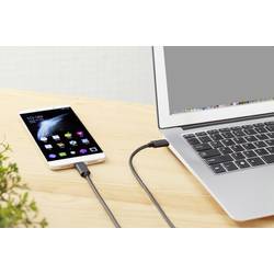Renkforce USB kabel USB 3.2 Gen2x2 USB-C ® zástrčka, USB-C ® zástrčka 0.50 m černá pozlacené kontakty RF-4381068