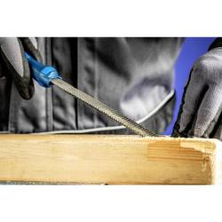 PFERD TOOLS 11307253 Rašplí na dřevo Délka 250 mm 10 ks