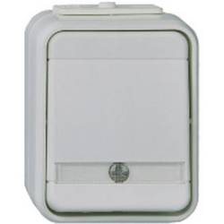 ELSO 441649 Kontrolní spínač ELSO 441649, 10 a, AquaTop, osvětlení/basově šedá kontrolní spínač Aqua Top vícebarevná 1 ks