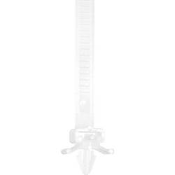 TRU COMPONENTS 1592899, TC-PHV150203, stahovací pásky, 7.90 mm, 150 mm, přírodní, s rozpěrnou kotvou, 100 ks