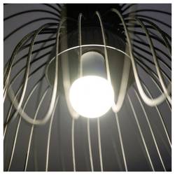 Shelly Duo Bulb E27 Gen3 Shelly LED žárovka, LED stmívač Energetická třída (EEK2021): F (A - G) Wi-Fi, Bluetooth, ZigBee