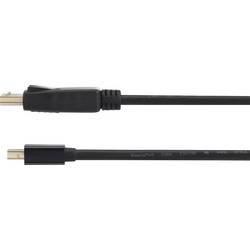Renkforce Mini-DisplayPort / DisplayPort kabelový adaptér Mini DisplayPort konektory, Konektor DisplayPort 1.00 m černá RF-4538172 pozlacené kontakty Kabel