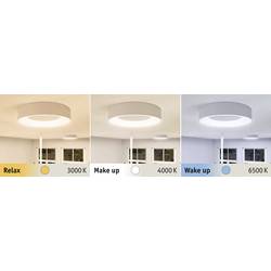 Paulmann 78947 HomeSpa Casca LED stropní svítidlo LED pevně vestavěné LED 23 W bílá
