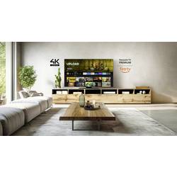 Panasonic TV-65Z80A OLED TV, 164 cm 65 palec, F (A - G), CI+, DVB-C, DVB-T, DVB-T2, DVB-S2, WLAN, UHD, Smart TV, černá
