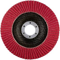 Rhodius 210183 LSK FK vějířový brusný kotouč Průměr 125 mm Ø otvoru 22.23 mm Zrnitost 60 nerezová ocel 1 ks