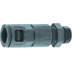 LAPP 61801160 SILVYN® KLICK-GPZ PG 21 GY hadicová spojka šedá PG21 rovná 10 ks