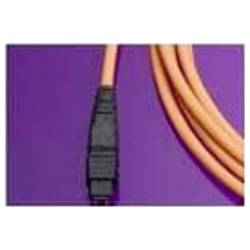 Molex 106284-1003 propojovací kabel 1 ks