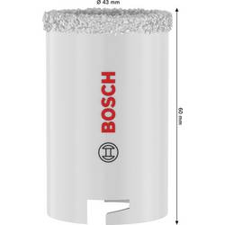 Bosch Accessories 2608594533 2608594533 vrtací korunka 43 mm 1 ks