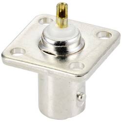 TRU COMPONENTS TC-9920760 BNC konektor přírubová zásuvka, rovná 50 Ω 1 ks