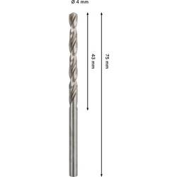 Bosch Accessories 2608577639 2608577639 kovový spirálový vrták 2 ks