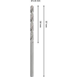 Bosch Accessories 2608577633 2608577633 kovový spirálový vrták 2 ks